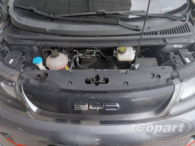 2024 BYD DOLPHIN 
