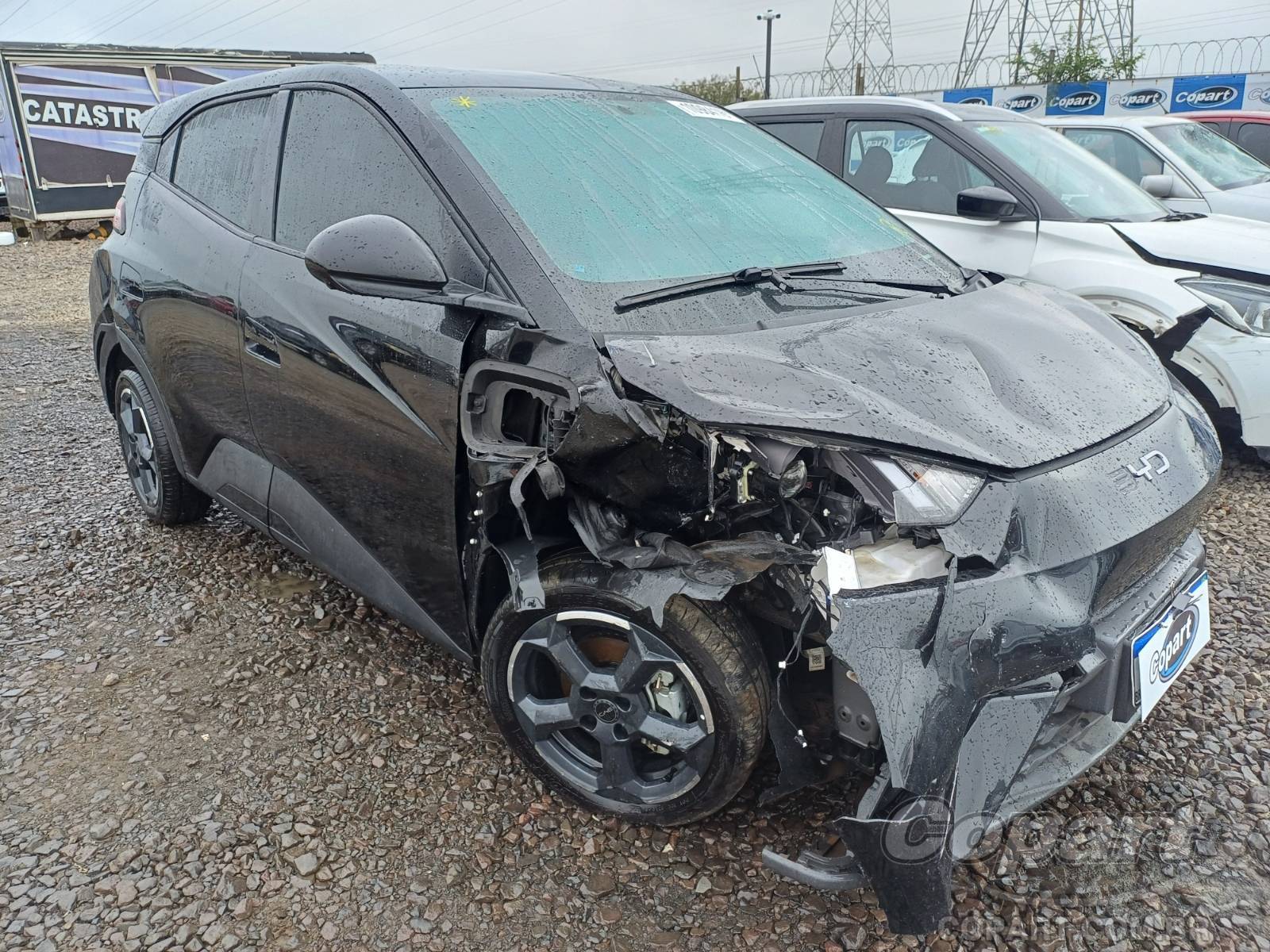 BYD Dolphin Mini 2025