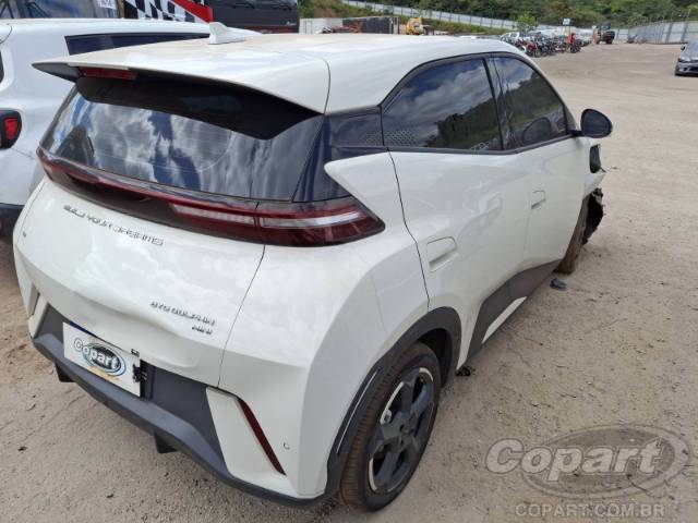 2025 BYD DOLPHIN MINI 