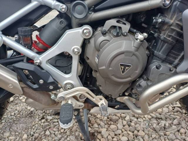 2025 TRIUMPH TIGER 