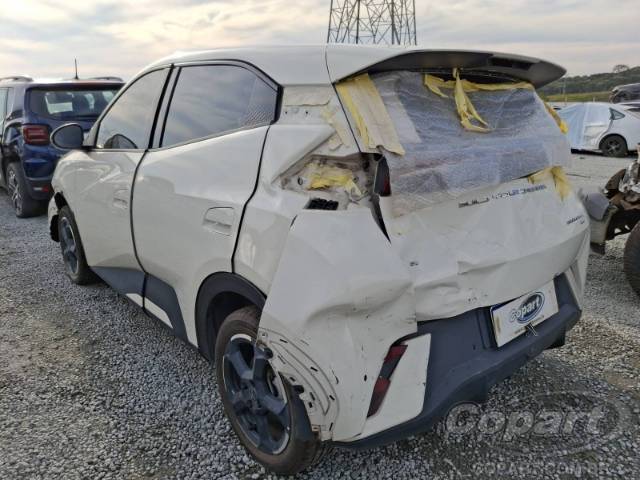 2025 BYD DOLPHIN MINI 