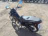 2026 HONDA POP 