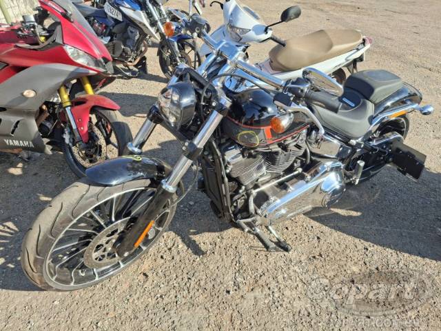 2023 HARLEY-DAVIDSON SOFTAIL 
