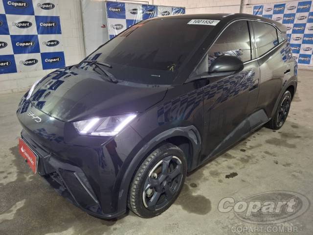 2025 BYD DOLPHIN MINI 