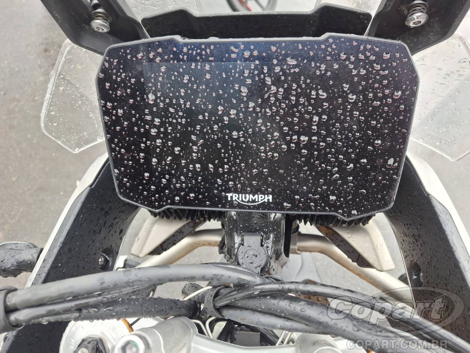 Foto 9 de 10: 2023 TRIUMPH TIGER