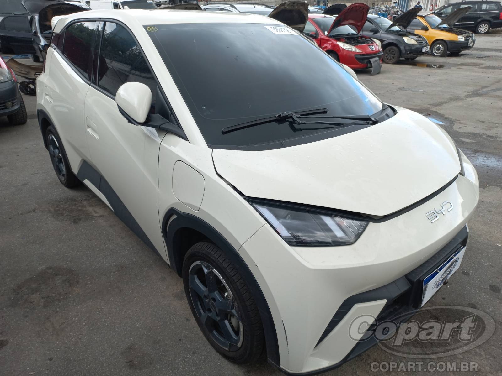 Veículo BYD Dolphin BYD Dolphin Mini EV GS 55 kW 2024 Colisão Média Monta 2025 em leilão