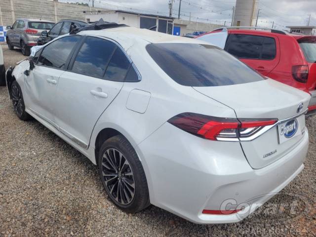 2026 TOYOTA COROLLA 