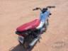 2019 HONDA POP 