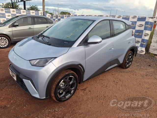 2026 BYD DOLPHIN MINI 