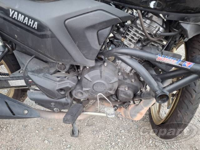2025 YAMAHA FACTOR 