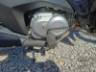 2025 HONDA BIZ 125 