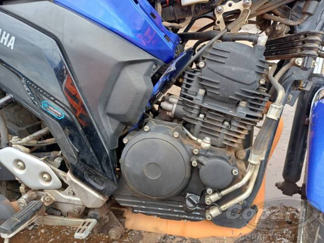 2025 YAMAHA FZ25 FAZER 