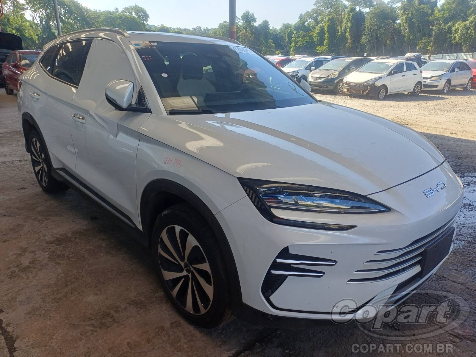 BYD Song Plus 2026 Híbrido