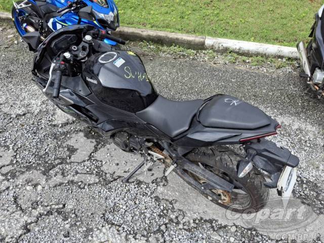 2025 KAWASAKI NINJA 500 