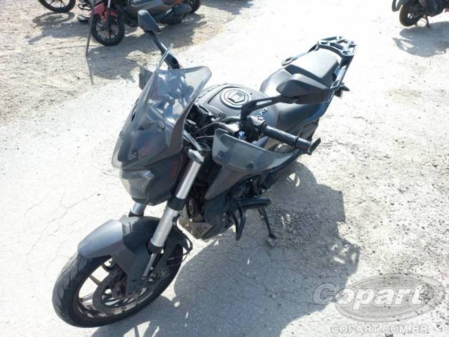 2024 BAJAJ DOMINAR 