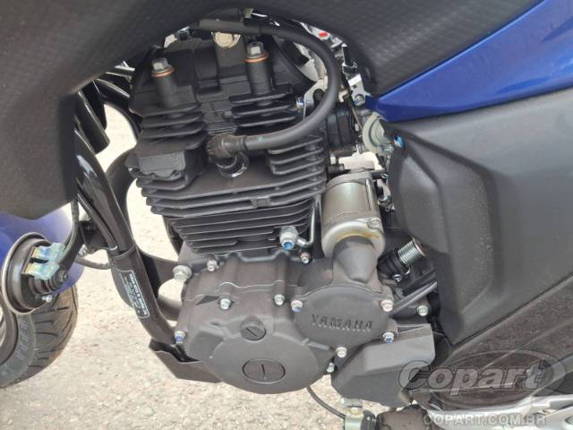 2025 YAMAHA FZ25 FAZER 