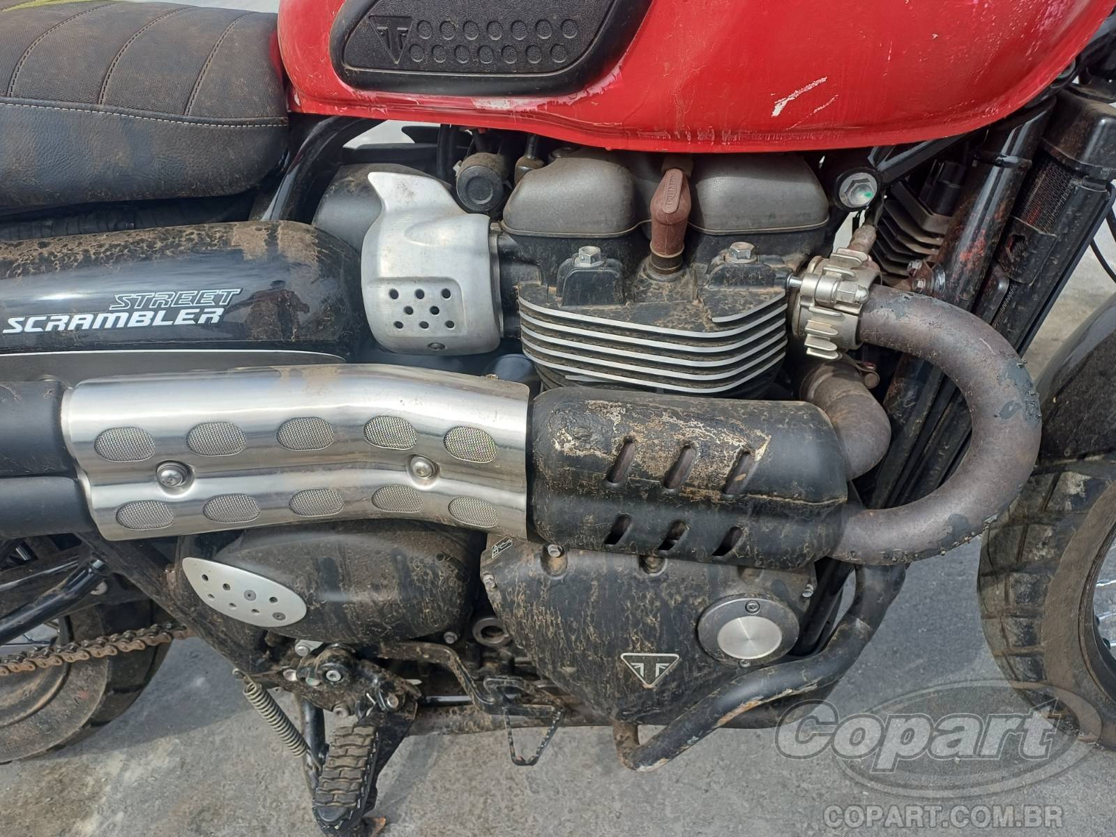 Foto 5: 2019 TRIUMPH STREET SCRAMBLER