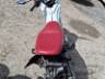 2024 HONDA POP 