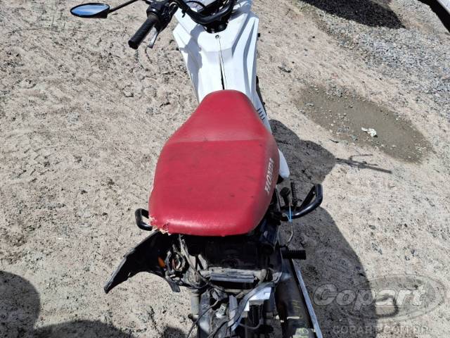 2024 HONDA POP 