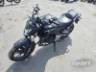 2025 HONDA CB 300F 