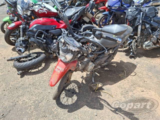 2021 HONDA POP 