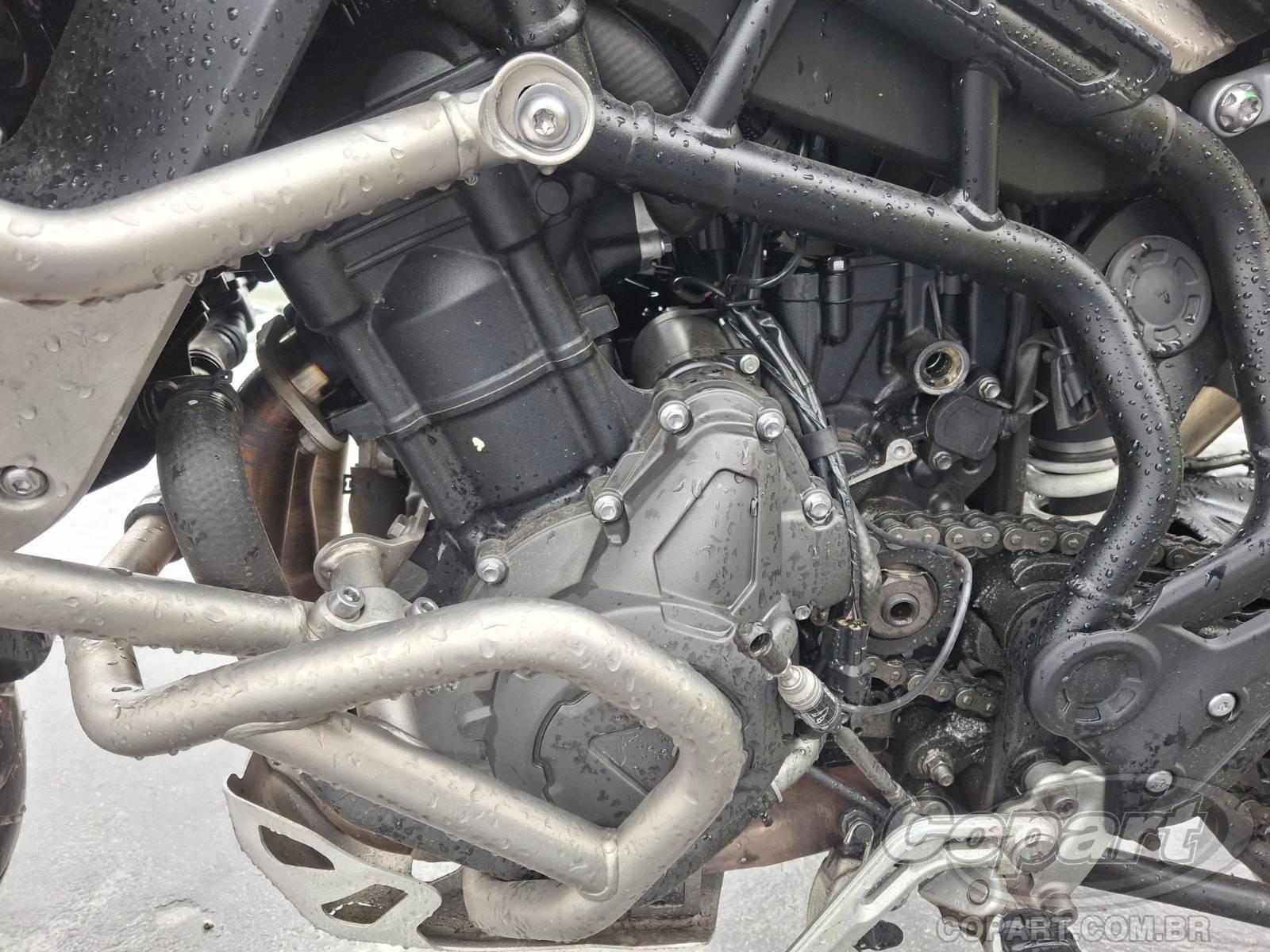 Foto 6 de 10: 2023 TRIUMPH TIGER