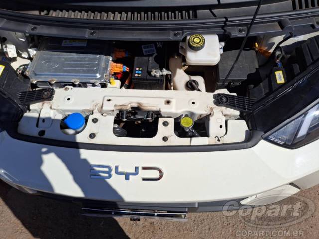 2025 BYD DOLPHIN MINI 