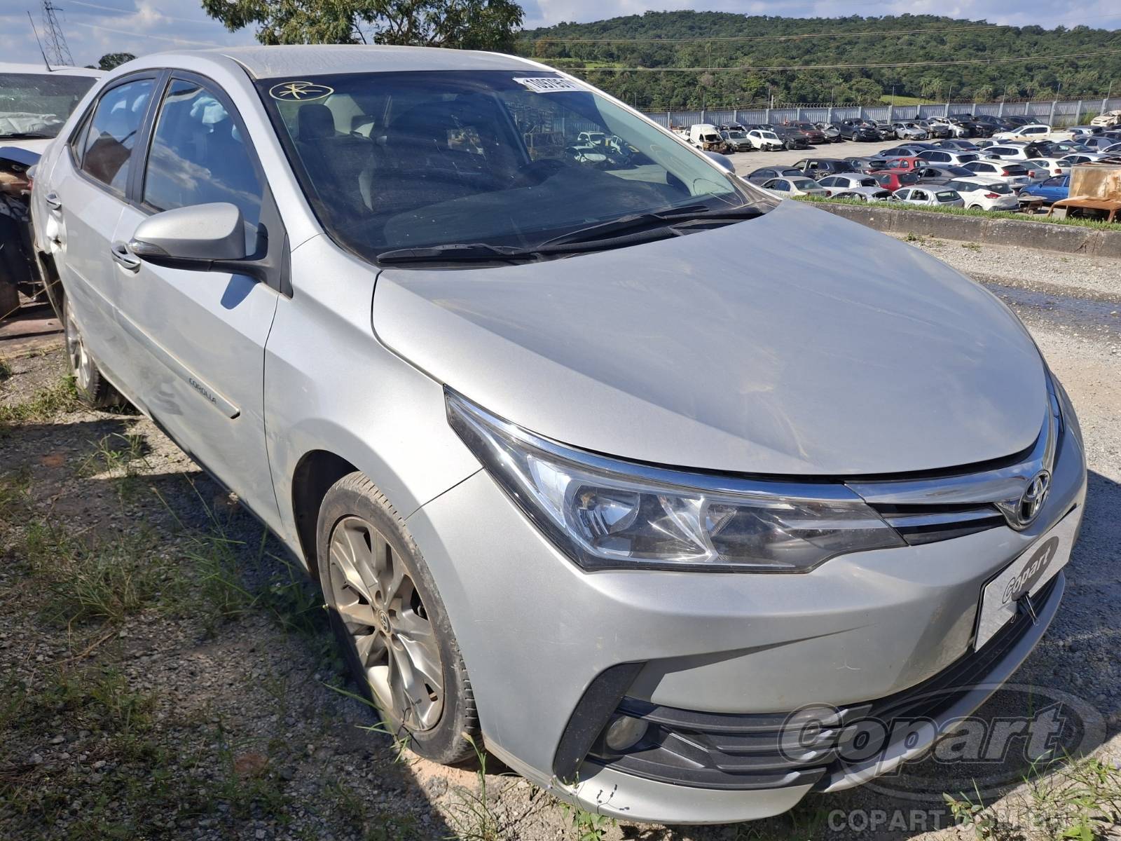 Toyota Corolla 2019