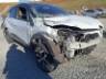 2019 RENAULT CAPTUR 