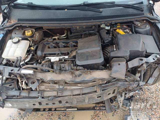 2013 FORD FOCUS 