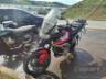 2024 TRIUMPH TIGER 