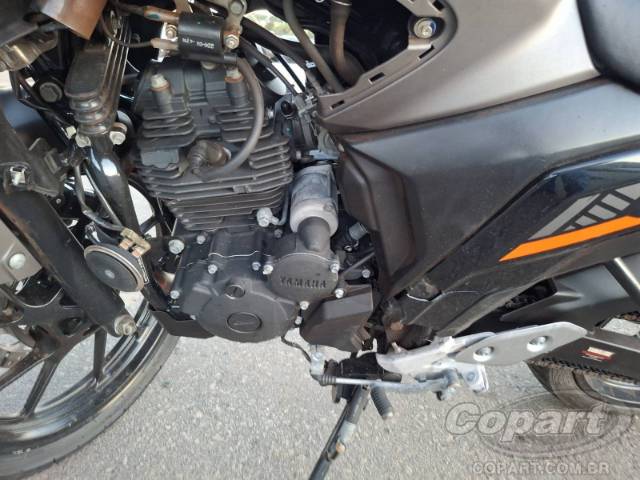 2025 YAMAHA FZ25 FAZER 