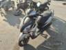2024 HONDA ELITE 