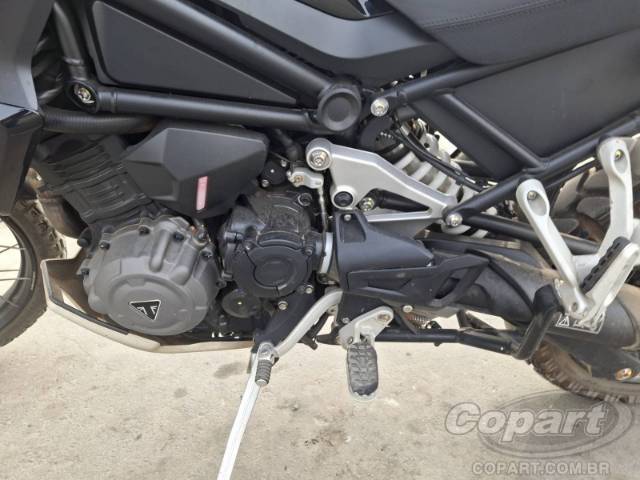 2024 TRIUMPH TIGER 