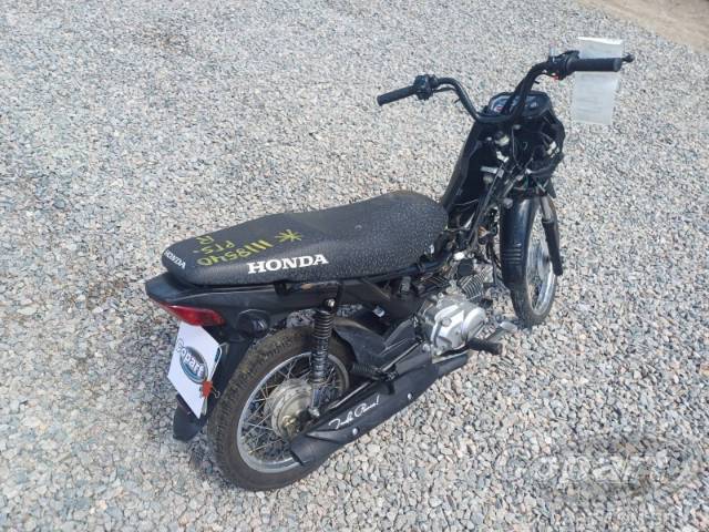 2025 HONDA POP 