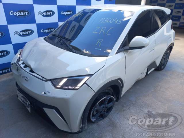 2025 BYD DOLPHIN MINI 
