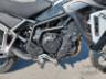 2024 TRIUMPH TIGER 