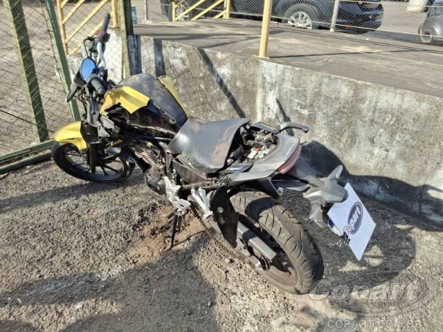 2024 HONDA CB 300F 