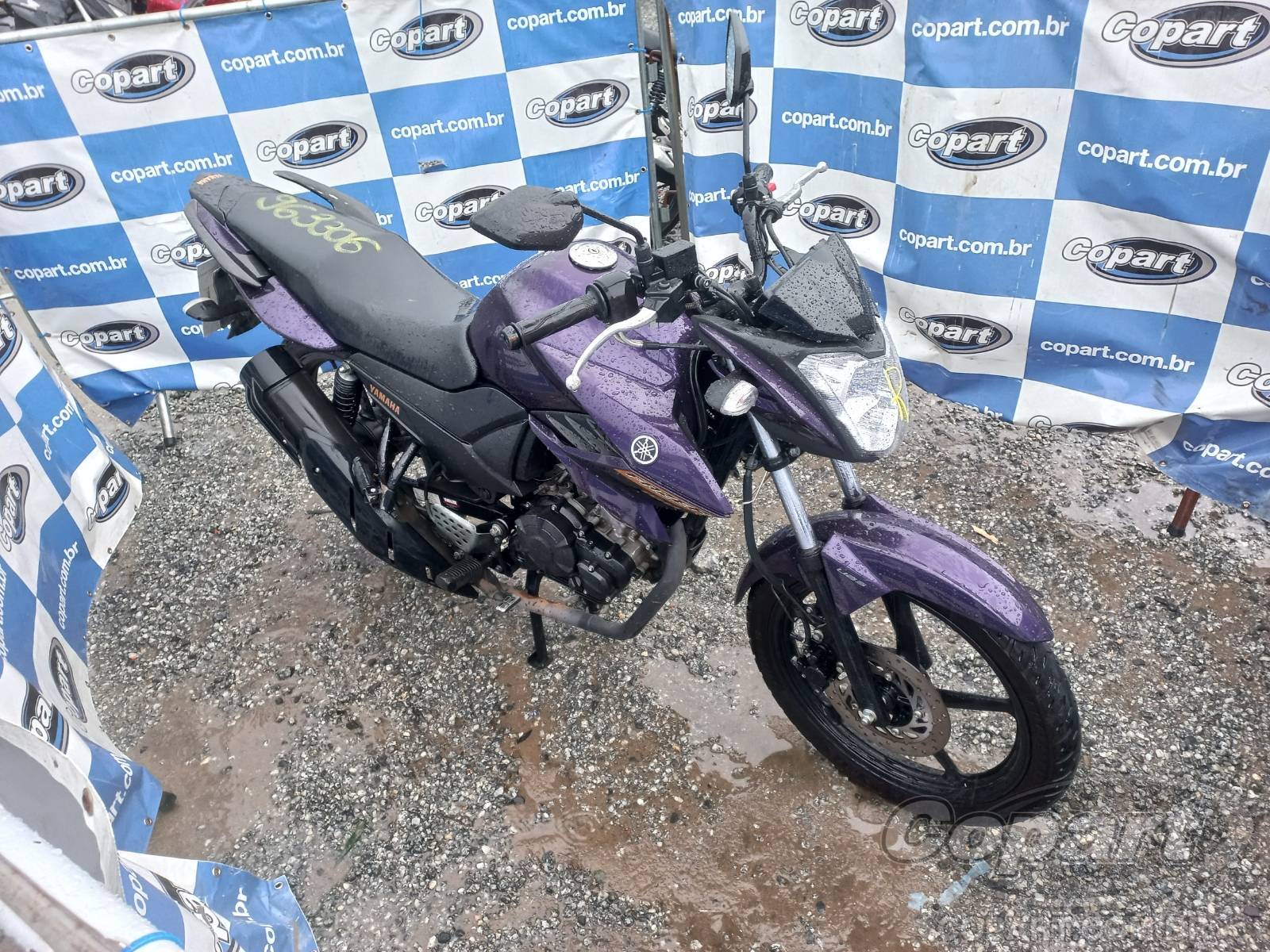 Veículo YAMAHA Fazer 2024 YAMAHA FAZER Fazer YS 150 SED UBS BlueFlex 2025 em leilão