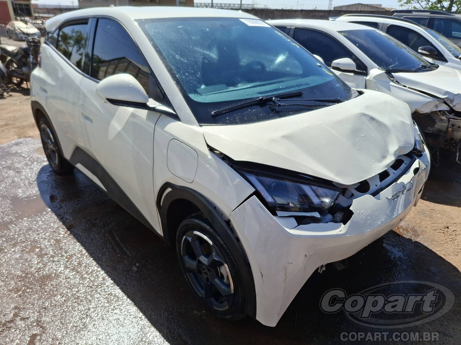 BYD DOLPHIN MINI 2025