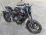 2025 TRIUMPH TRIDENT 