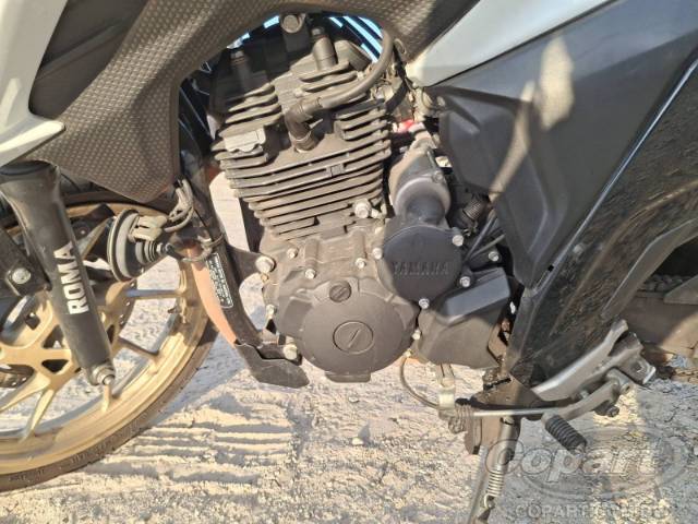 2025 YAMAHA FZ25 FAZER 