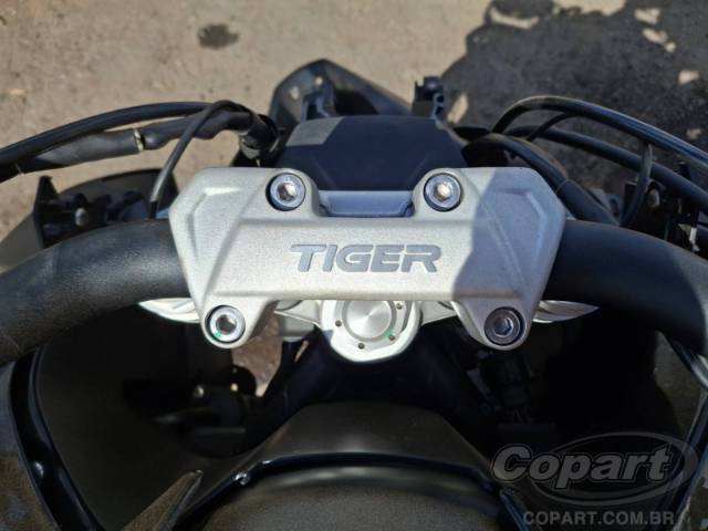 2024 TRIUMPH TIGER 