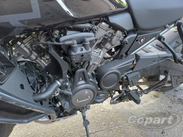 2024 HARLEY-DAVIDSON PAN AMERICA 