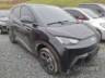 2025 BYD DOLPHIN MINI 