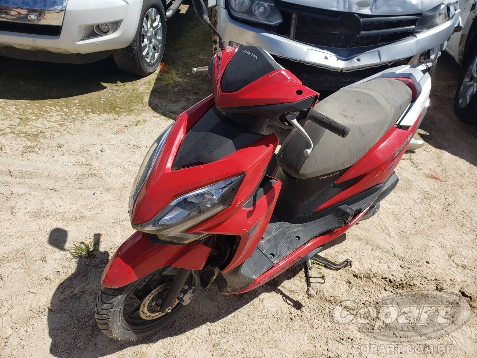 Foto 2: 2019 HONDA ELITE