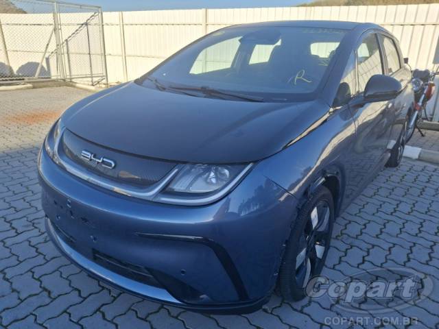 2024 BYD DOLPHIN 