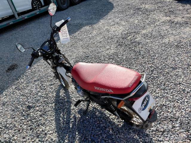 2026 HONDA POP 