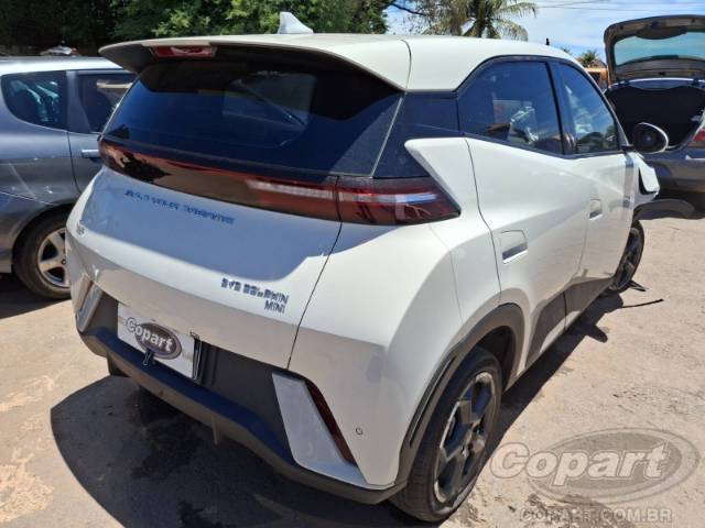 2025 BYD DOLPHIN MINI 