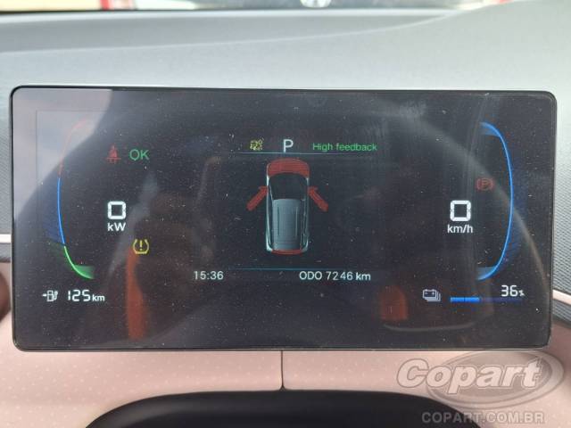 2025 BYD DOLPHIN MINI 